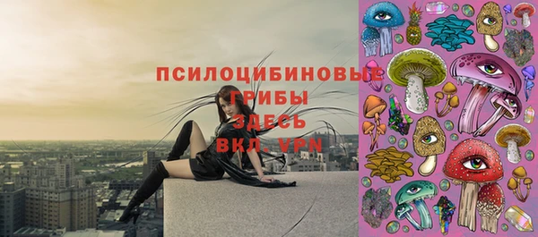 шишки Алексеевка