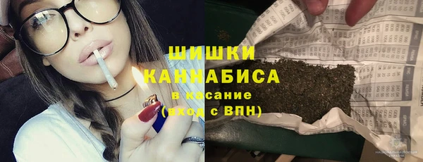 шишки Алексеевка