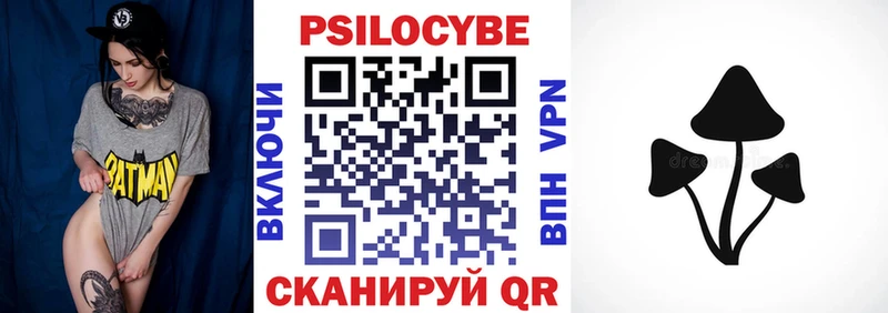 Псилоцибиновые грибы MAGIC MUSHROOMS  KRAKEN как зайти  Талица  где купить наркоту 